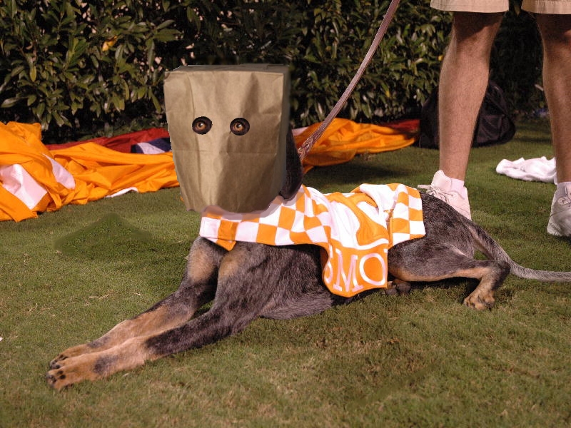 Embarrassing Loss: Tennessee’s Mental Miscues Against Ohio State